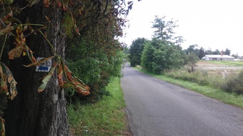 Rawa-Sierzchowy-Rawa