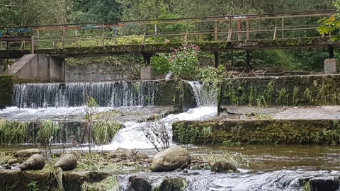   KOWARY...05.09.2017 13:07