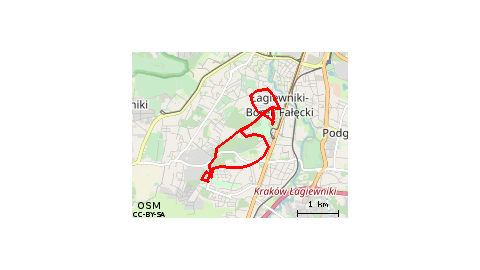 Wycieczka Kliny-Borek(17.06.2018)