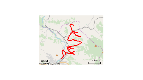 Biała Niżna Wyskitna Polna