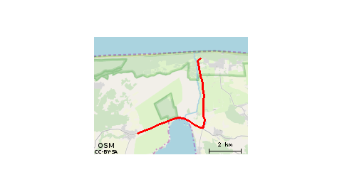 Pole namiotowe Leśne