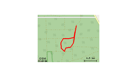 Spacerek16062019lasek Lekawski
