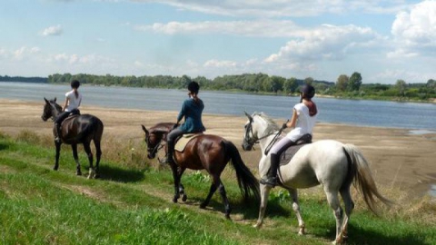 Nowy Secymin-Górki-Nowy Secymin
