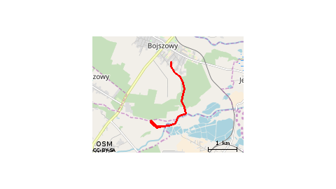 Korzeniec, ognisko, dętka