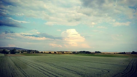 Myto - Buków - Tworków - Myto