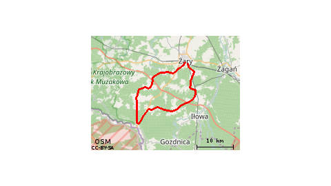 żary przewóz żary