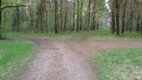 Kuźnia - Nędza - Siedliska - Kuźnia 2