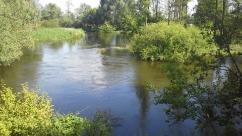 Nadwieprzański Park Krajobrazowy
