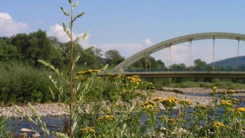 Z Żywca w kierunku Słowacji