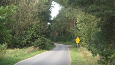 Gniezno - Lasy Królewskie