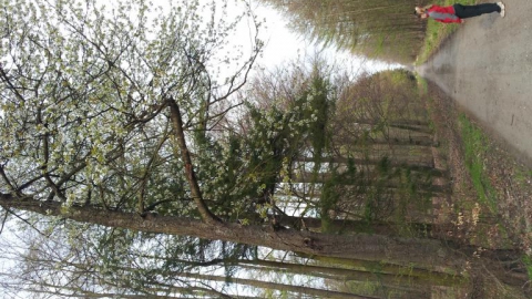 Rowerem przez Kołobrzeski Las