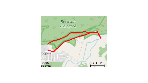 Białogóra Do Stadniny Przez Las I Do Bialogory 