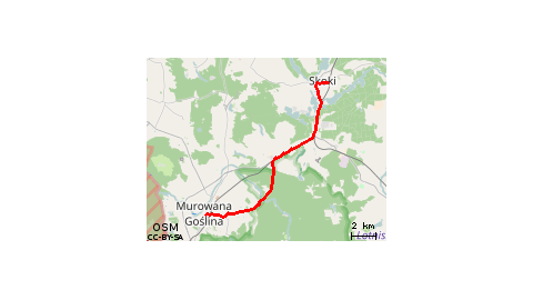 Murowana Goślina - Skoki