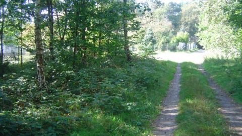 Białogard - Karlino