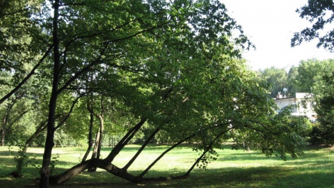 Brenna - Górki Wielkie - Brenna