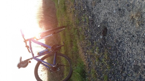 Głogów-Krzydłowice-Szczepów-Głogów