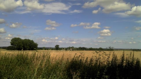 Szczecin, (pogodno), Przecław, Kołbaskowo, Będargowo, Stobno, Szczecin