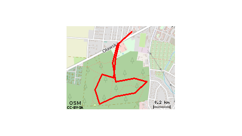 Trasa Spacerowa Leśna 