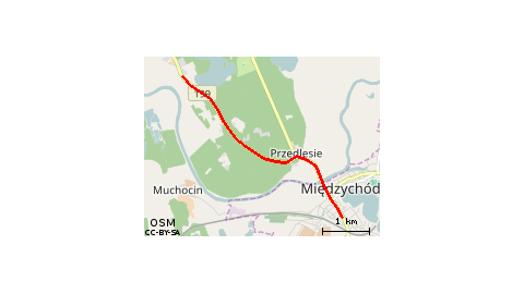 Międzychód-Mierzyn