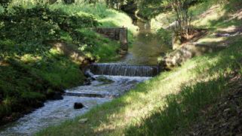 Lubin - Dolina Zimnicy - Obora