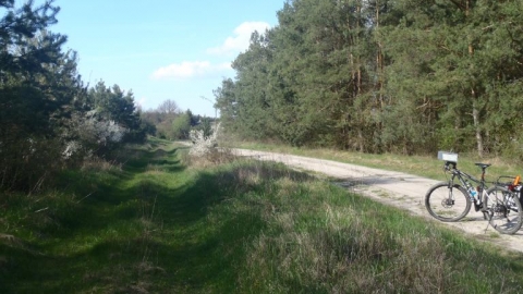 Czarny szlak Opole Kub. Kępa  