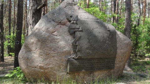 W poszukiwaniu łosia po Kampinosie