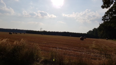 Sierakowice Rachowice