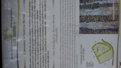 Na punkt widokowy w Nowym Borku