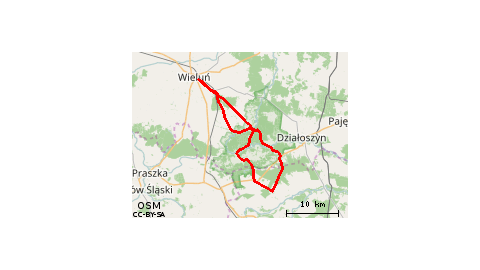 Wieluń-j.szachownica