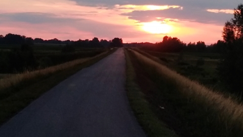 Wietrzychowice-Moscice