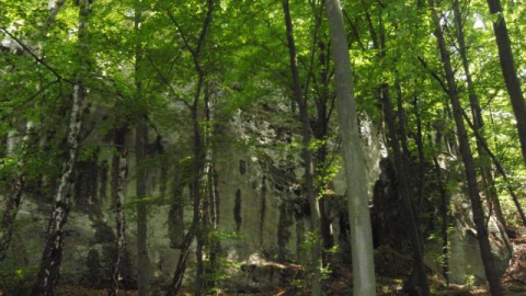 Mrzygłód - Morsko - Bobolice - Mirów