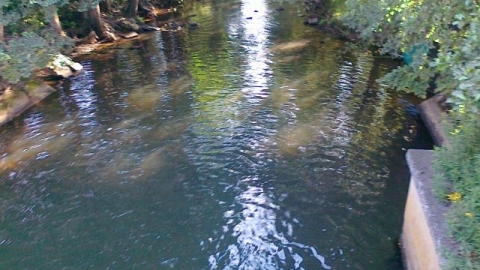 Popielów - Karłowice - Chrościce - Popielów