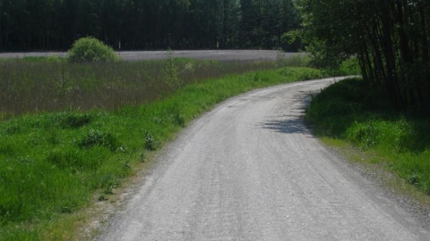 Siedliszcze - Chojno Nowe - Siedliszcze