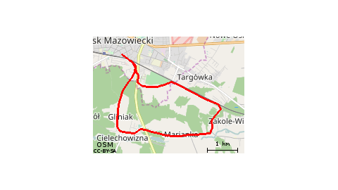 Mińsk Gliniak Anielina 